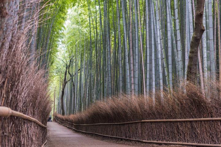 Arashiyama, Japan (2019)