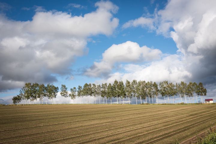 Hokkaido, Japan (2018)