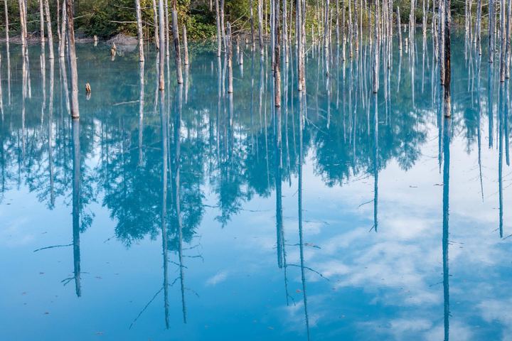 Biei, Japan (2018)