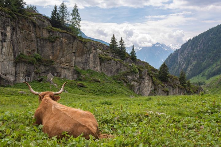 Belalp, Switzerland (2018)