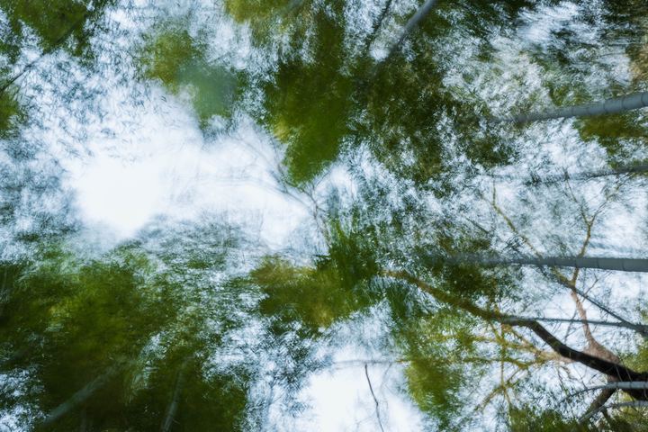 Arashiyama, Japan (2018)