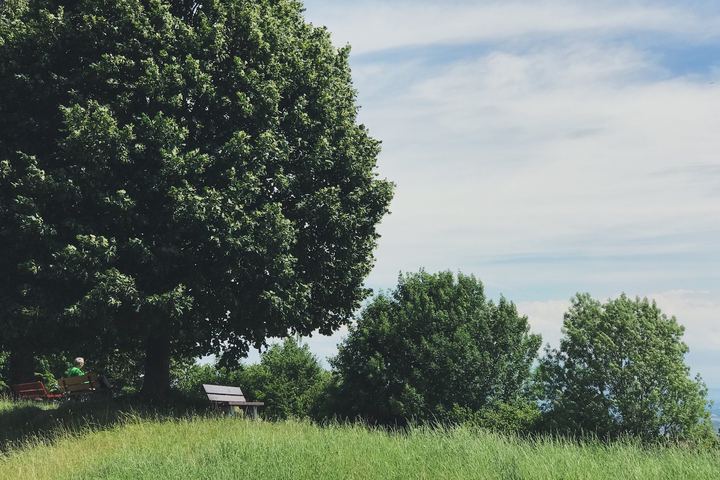 Zurich, Switzerland (2017)