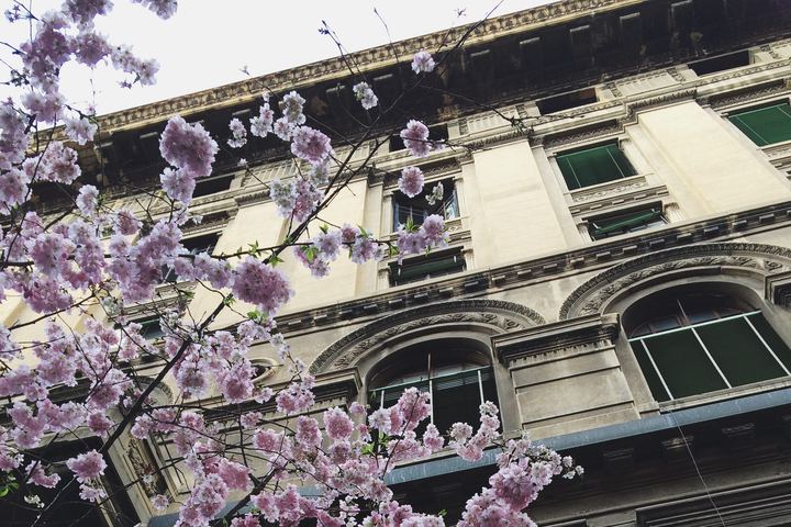 Bologna, Italy (2015)