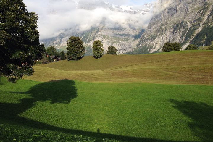 Grindelwald, Switzerland (2014)