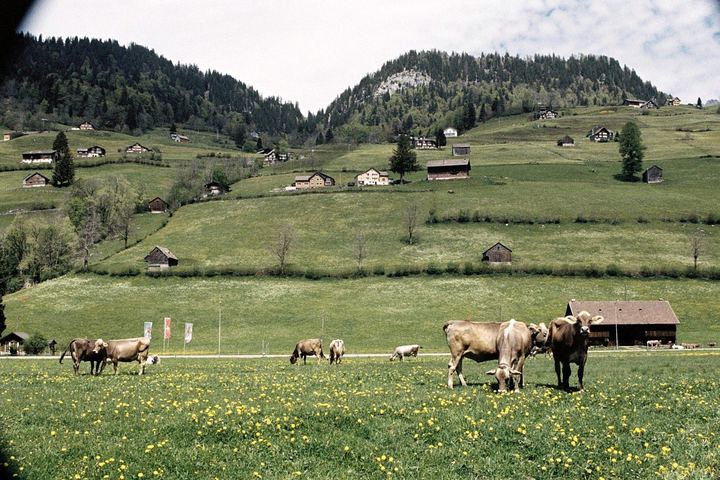 alt. St. Johann, Switzerland (2014)