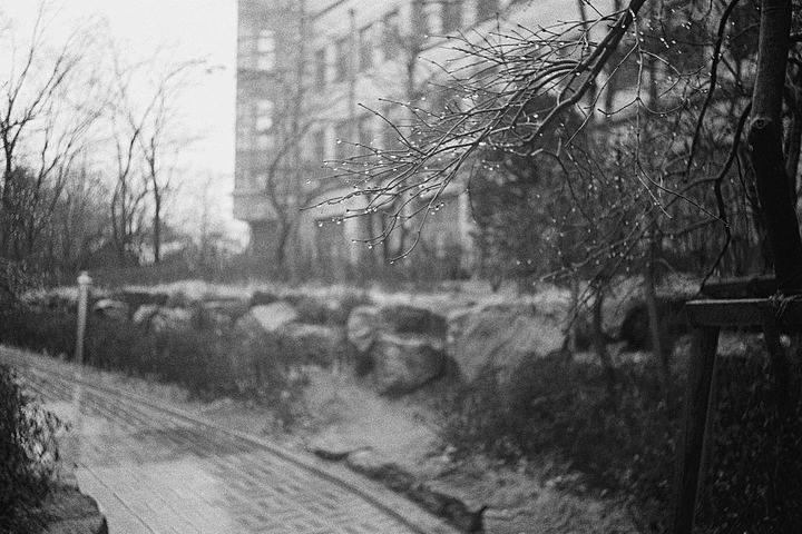 Yonsei, Seoul, South Korea (2011)