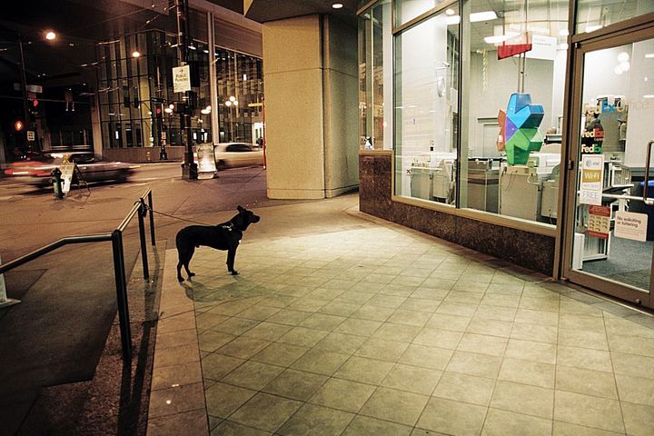 Seattle, USA (2011)