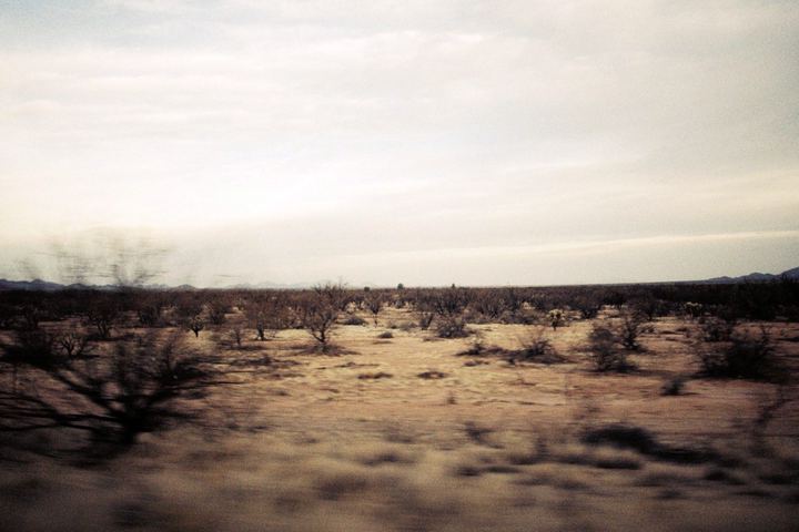 Tucson, USA (2011)