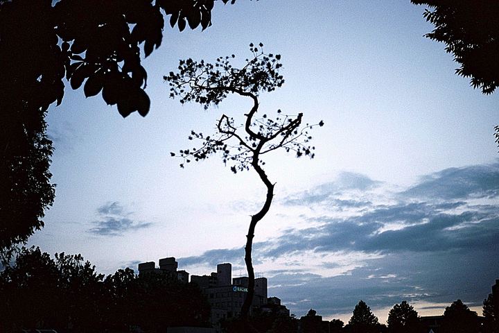 Yonsei, Seoul, South Korea (2010)